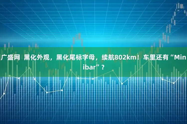 广盛网  黑化外观，黑化尾标字母，续航802km！车里还有“Minibar”？