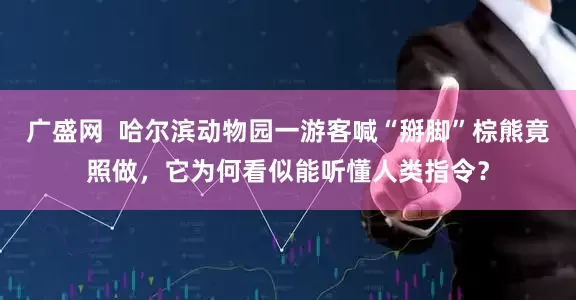 广盛网  哈尔滨动物园一游客喊“掰脚”棕熊竟照做，它为何看似能听懂人类指令？