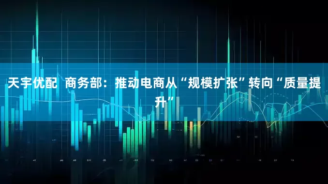 天宇优配  商务部：推动电商从“规模扩张”转向“质量提升”